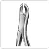 31 - Extracting Forceps American Pattern